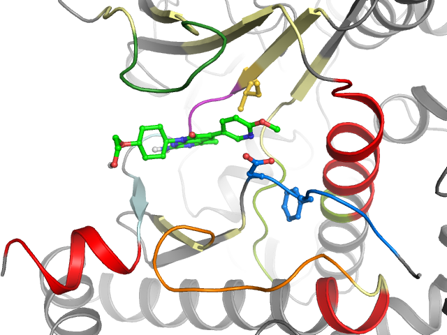 The orthosteric binding pocket