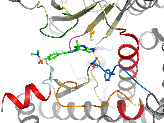 The orthosteric binding pocket