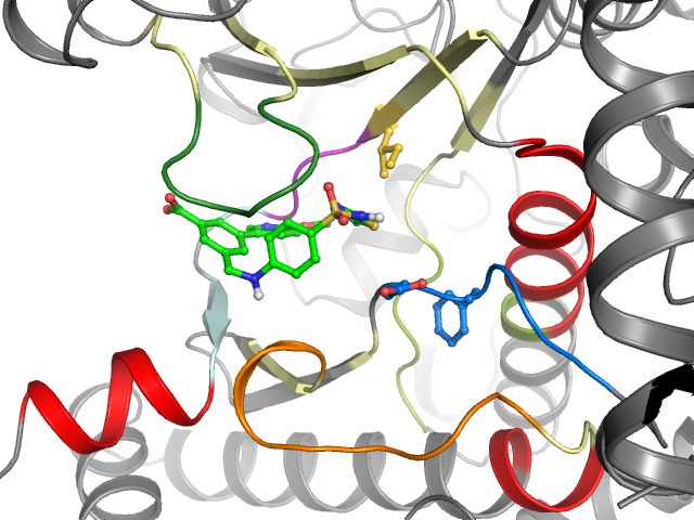 The orthosteric binding pocket