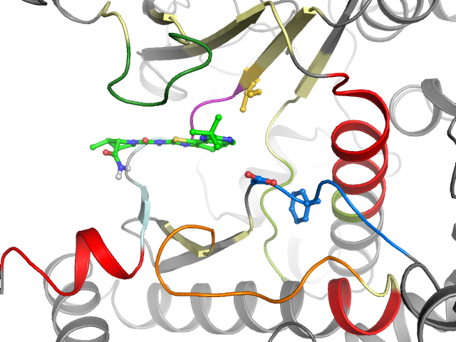 The orthosteric binding pocket