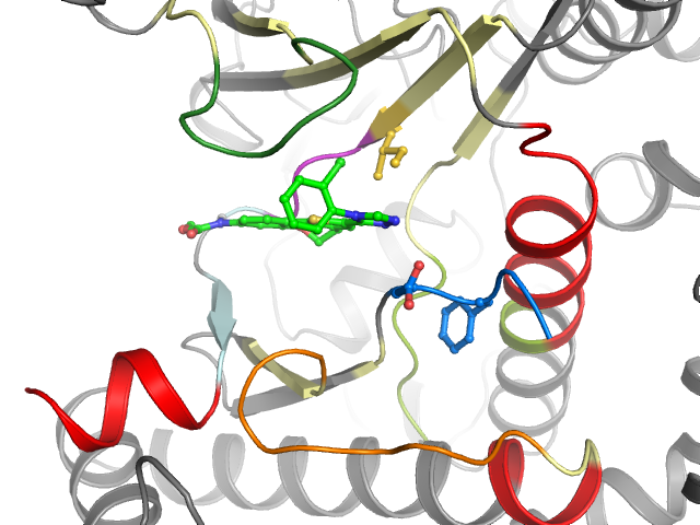 The orthosteric binding pocket