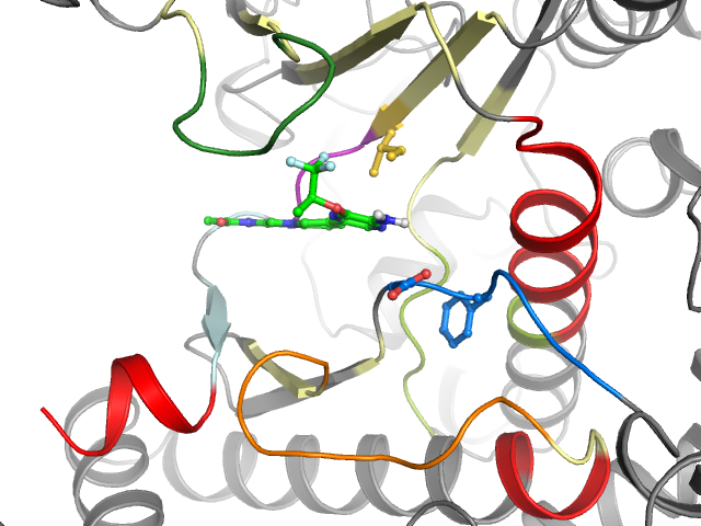 The orthosteric binding pocket