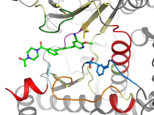 The orthosteric binding pocket