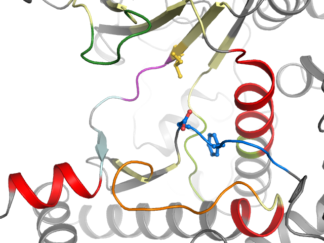 The orthosteric binding pocket