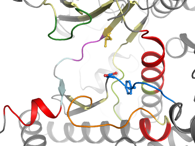 The orthosteric binding pocket