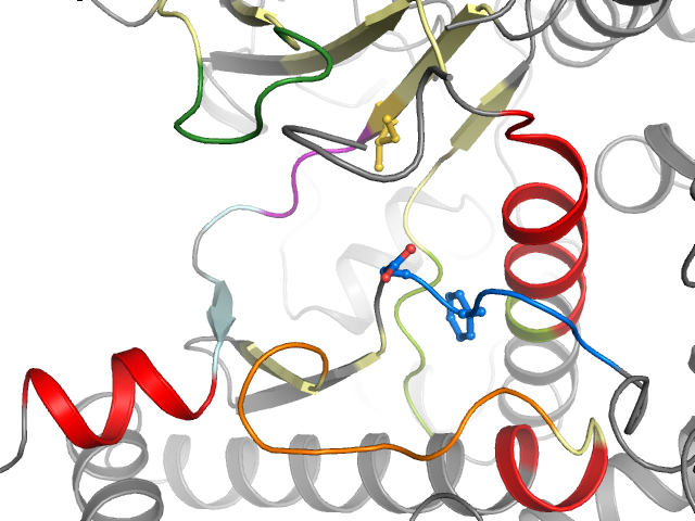 The orthosteric binding pocket