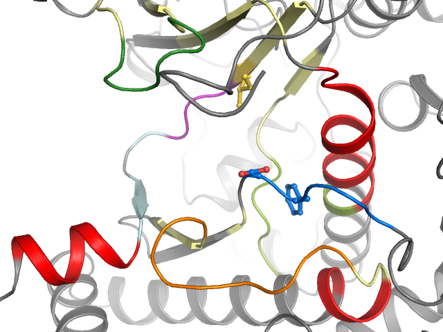 The orthosteric binding pocket