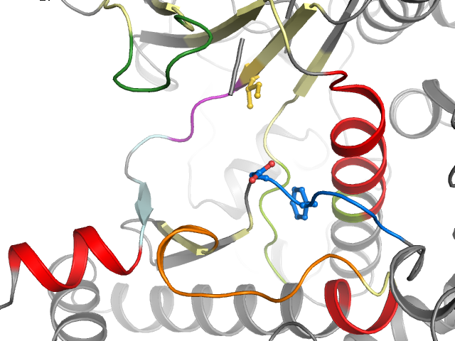 The orthosteric binding pocket