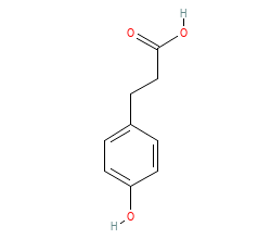 2D structure of the allostericligand