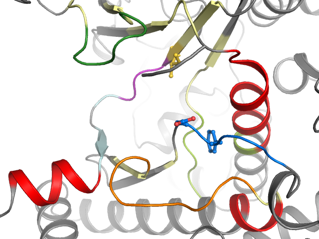 The orthosteric binding pocket
