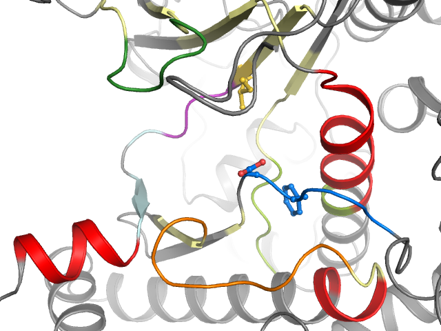 The orthosteric binding pocket