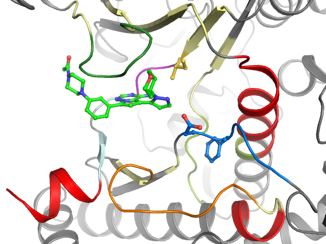 The orthosteric binding pocket