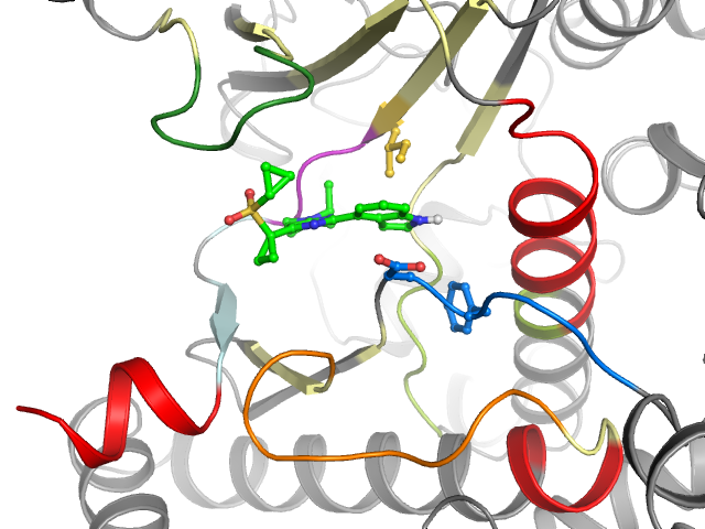 The orthosteric binding pocket