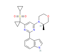 2D structure of the orthosteric ligand