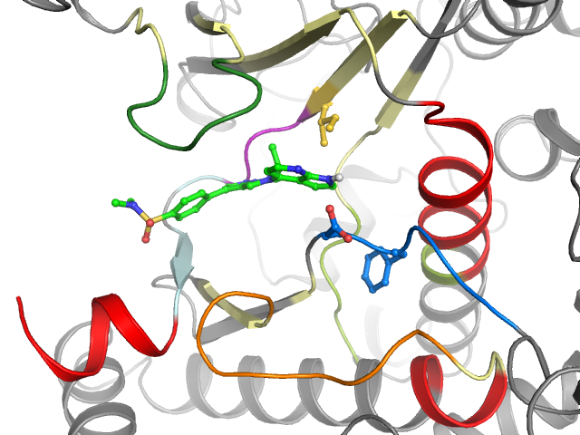 The orthosteric binding pocket