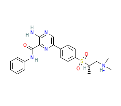 2D structure of the orthosteric ligand