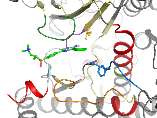 The orthosteric binding pocket
