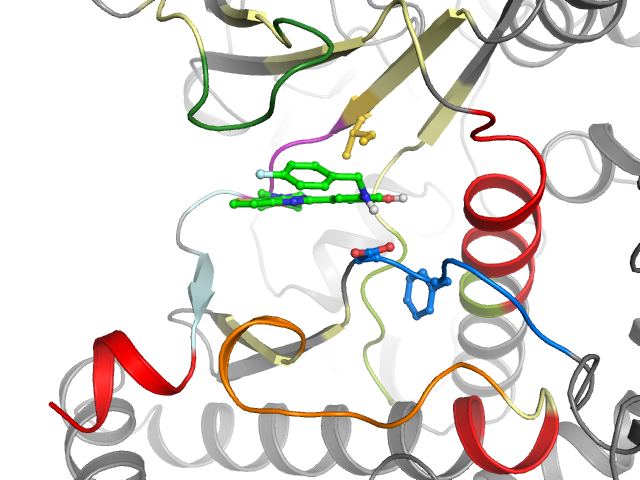 The orthosteric binding pocket