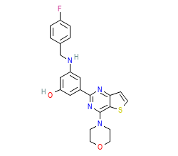 2D structure of the orthosteric ligand