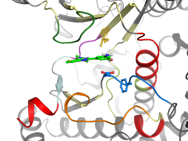 The orthosteric binding pocket
