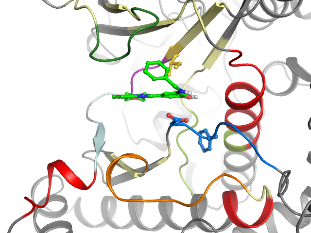 The orthosteric binding pocket