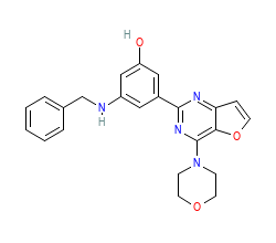2D structure of the orthosteric ligand