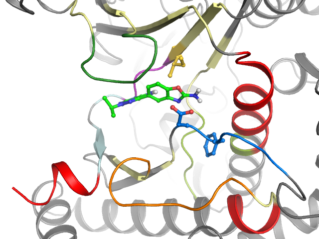 The orthosteric binding pocket