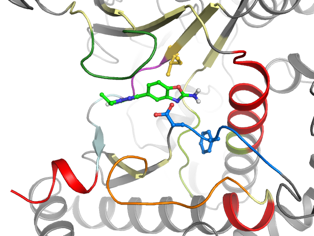 The orthosteric binding pocket