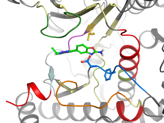 The orthosteric binding pocket