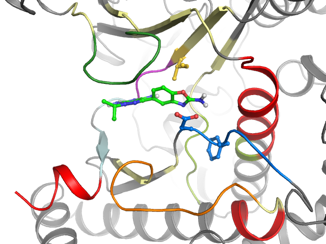 The orthosteric binding pocket