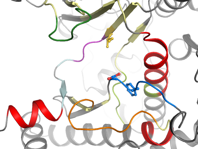 The orthosteric binding pocket