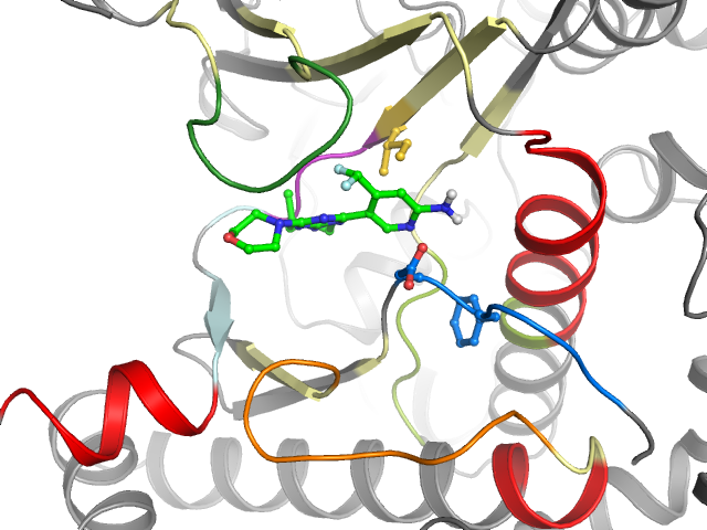 The orthosteric binding pocket