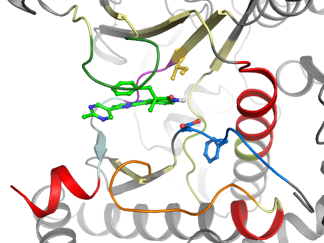 The orthosteric binding pocket