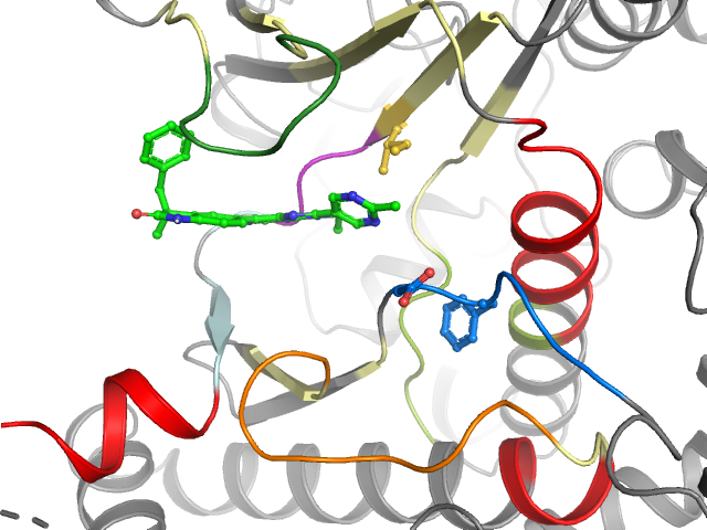 The orthosteric binding pocket