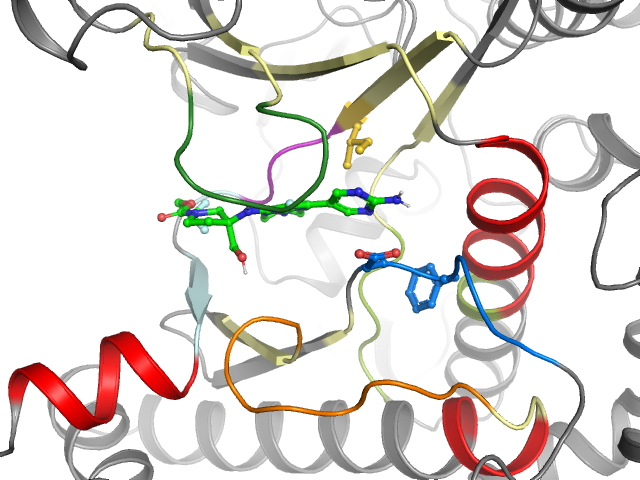The orthosteric binding pocket