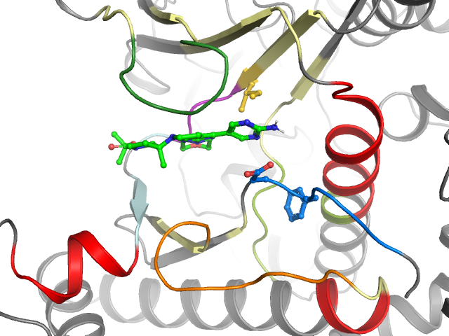 The orthosteric binding pocket