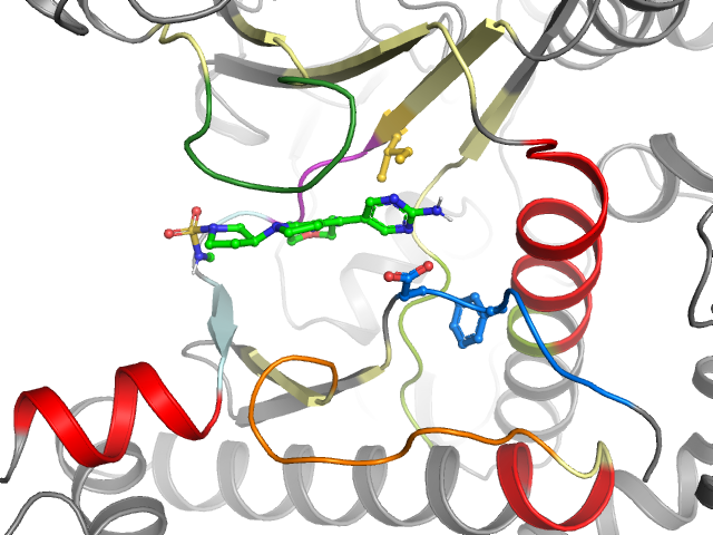 The orthosteric binding pocket