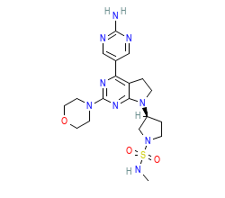 2D structure of the orthosteric ligand