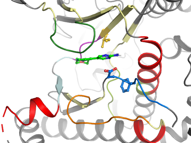 The orthosteric binding pocket