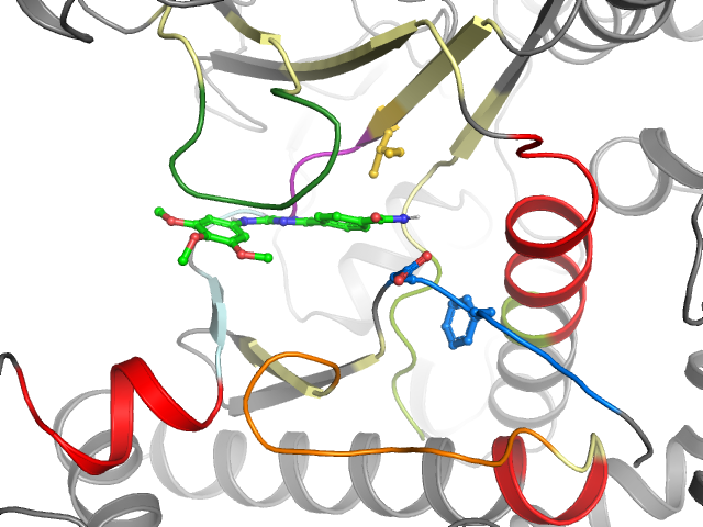 The orthosteric binding pocket