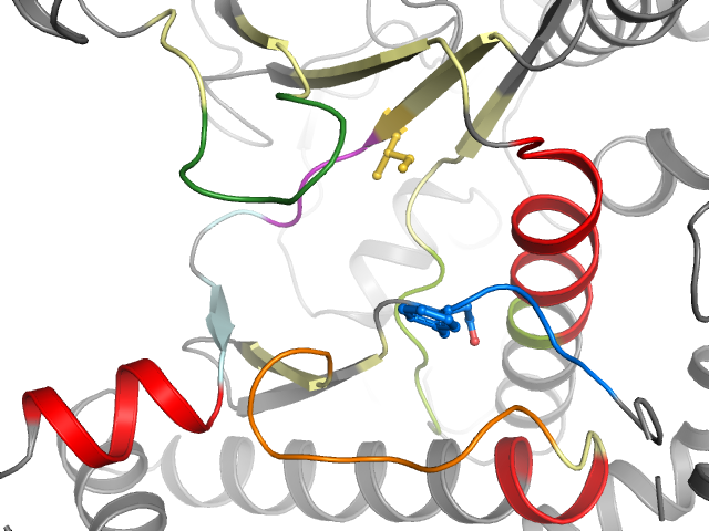 The orthosteric binding pocket