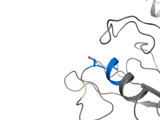 The orthosteric binding pocket