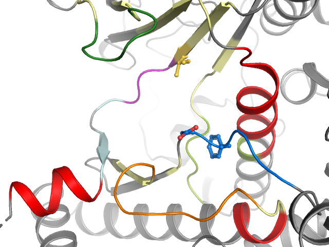 The orthosteric binding pocket