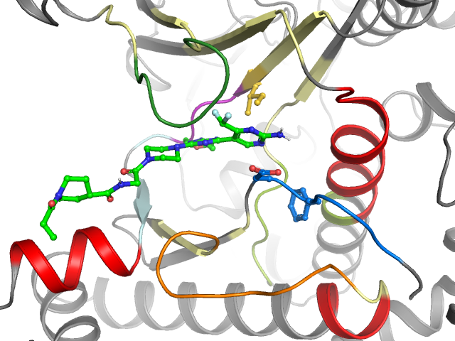 The orthosteric binding pocket