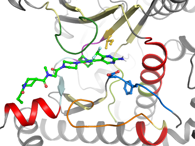 The orthosteric binding pocket