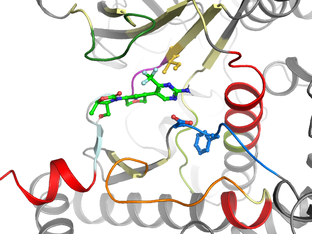 The orthosteric binding pocket