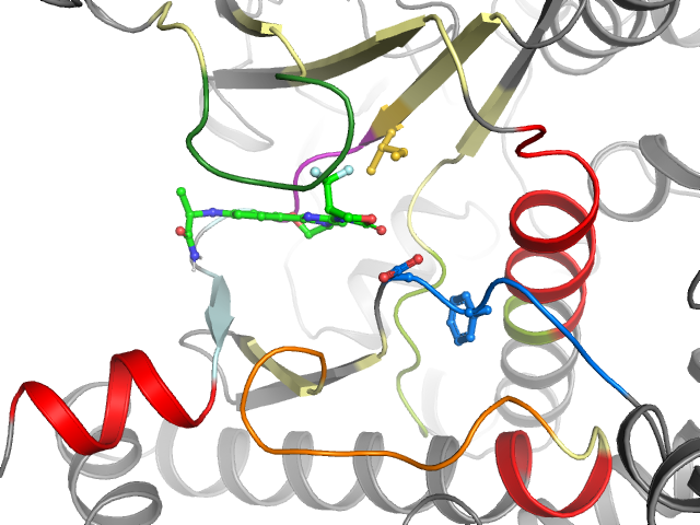 The orthosteric binding pocket