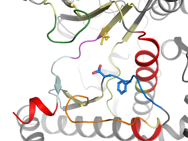 The orthosteric binding pocket