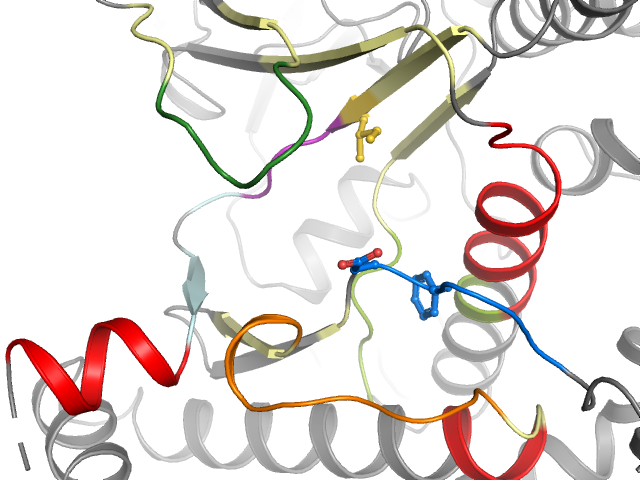 The orthosteric binding pocket