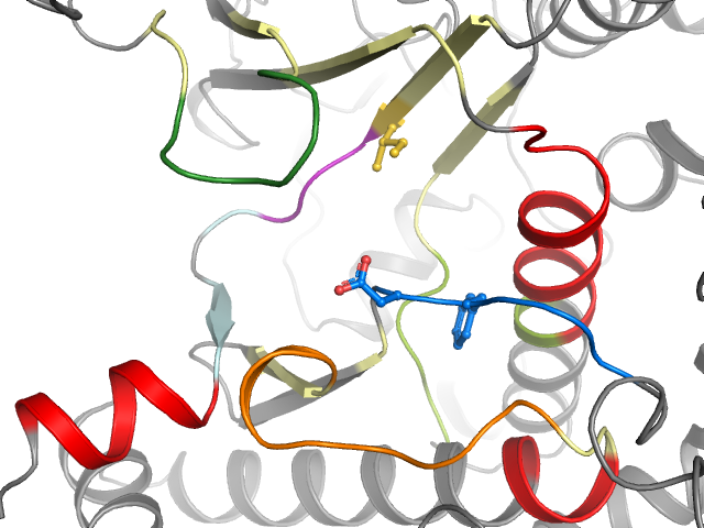 The orthosteric binding pocket